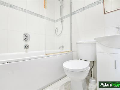 Picture 5
